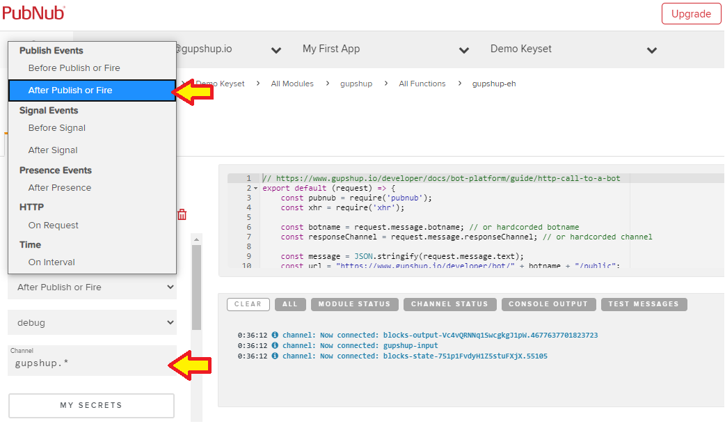 Pubnub Publish Instructions Steps