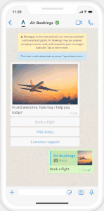 Flight booking experience using a dumb bot