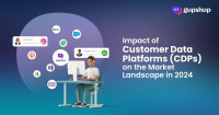 Impact of Customer Data Platforms (CDPs) on the Market Landscape in 2024