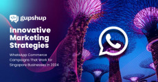 Innovative WhatsApp Marketing Strategies for Singapore