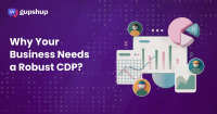 CDP Blog Image 1